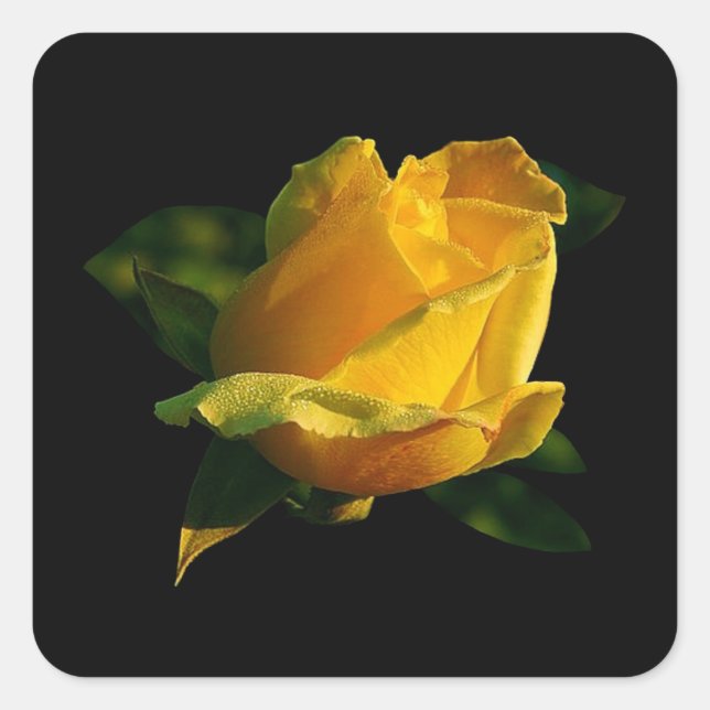 Sticker Carré Grande rose jaune (Devant)