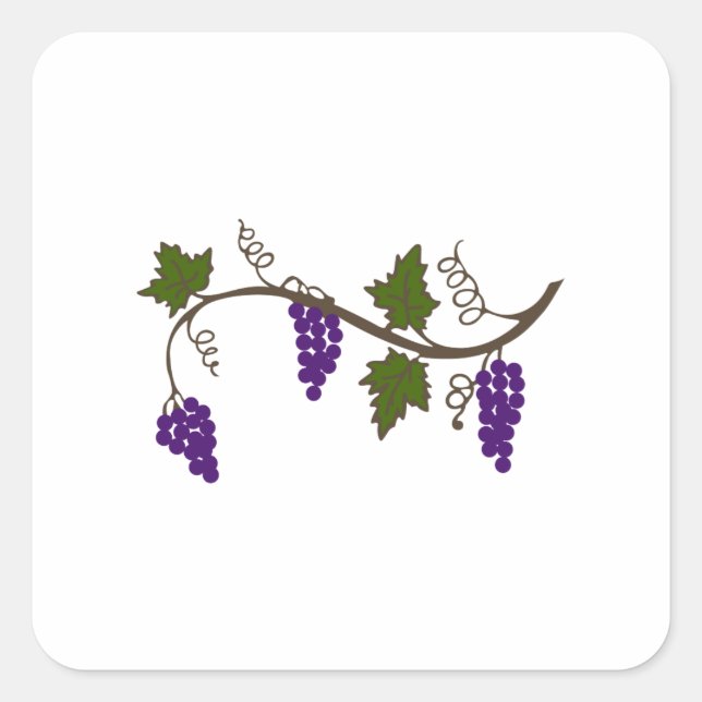 STICKER CARRÉ GRAPEVINE (Devant)