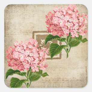 Sticker Carré Grappes d'hortensia rose II