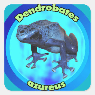 Sticker Carré Grenouille à fléchettes au poison bleu.