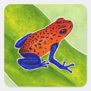 Sticker Carré Grenouille à tarte aux fraises