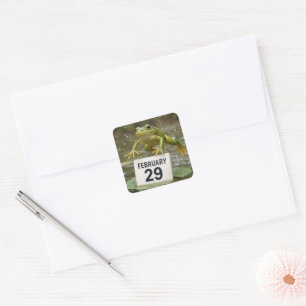 Sticker Carré Grenouille année bissextile d'anniversaire