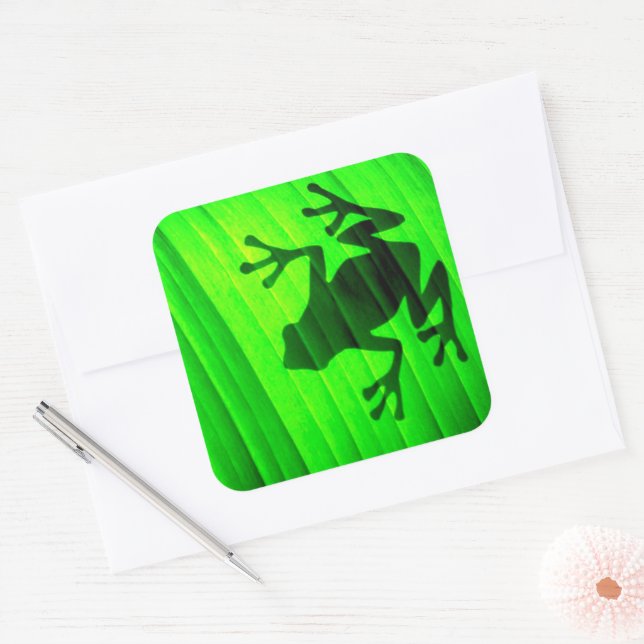 Sticker Carré Grenouille des arbres (Enveloppe)