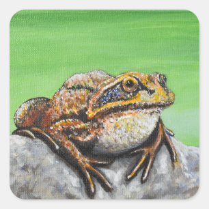 Sticker Carré Grenouille sur un rocher