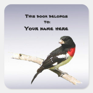 Sticker Carré Grosbeak à poitrine rose