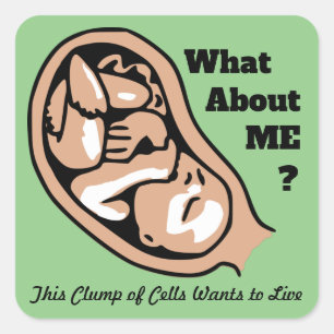 Sticker Carré Groupe de cellules ou bébé PRO-LIFE