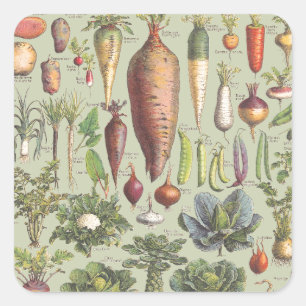 Sticker Carré Guide Français Du Jardin