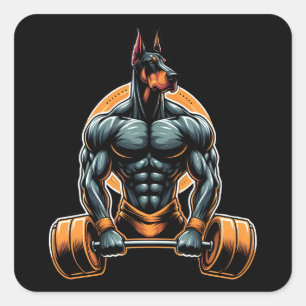 Sticker Carré GYM doberman bodybuilder powerlifder chien