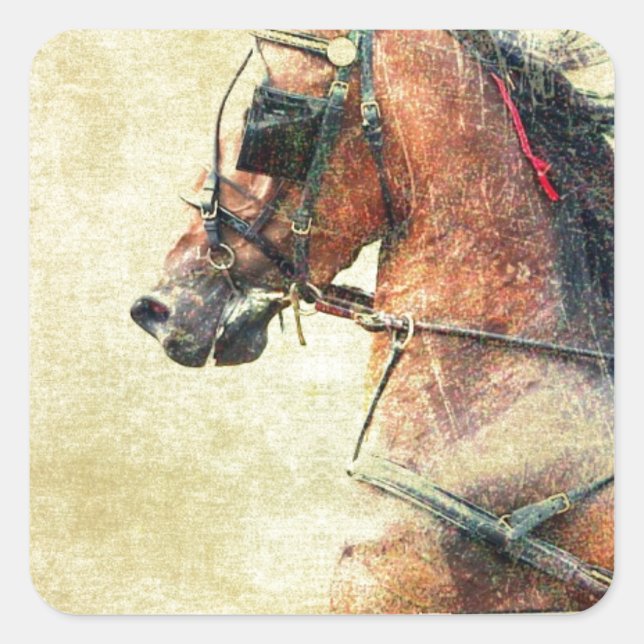 Sticker Carré Hackney Pony (Devant)