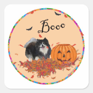 Sticker Carré Halloween de Poméranie noire