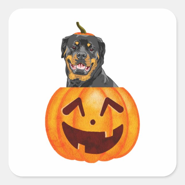 Sticker Carré Halloween Rottweiler (Devant)