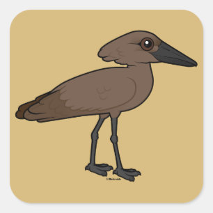 Sticker Carré Hamerkop
