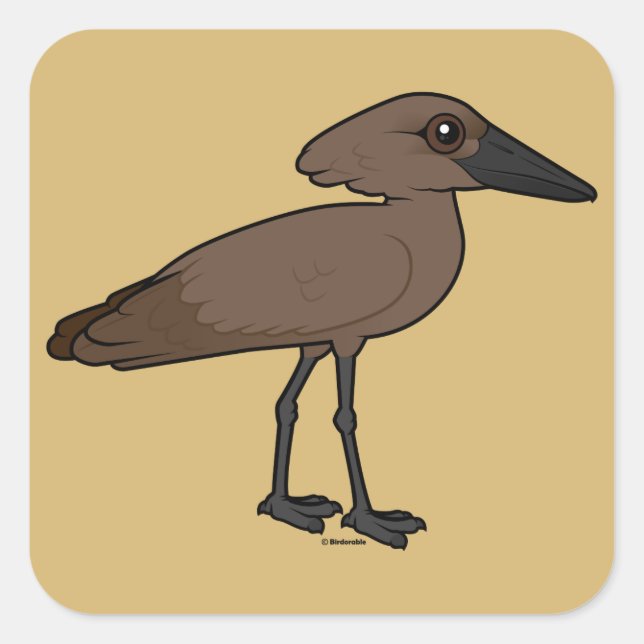 Sticker Carré Hamerkop (Devant)