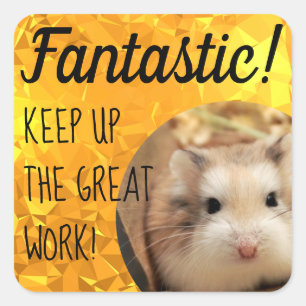 Sticker Carré HammyVille - Joli Hamster Fantastique Grand Travai