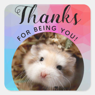 Sticker Carré HammyVille - Joli Hamster Merci d'être vous