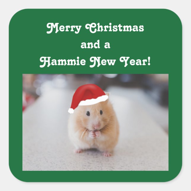 Sticker Carré Hamster de Noël (Devant)