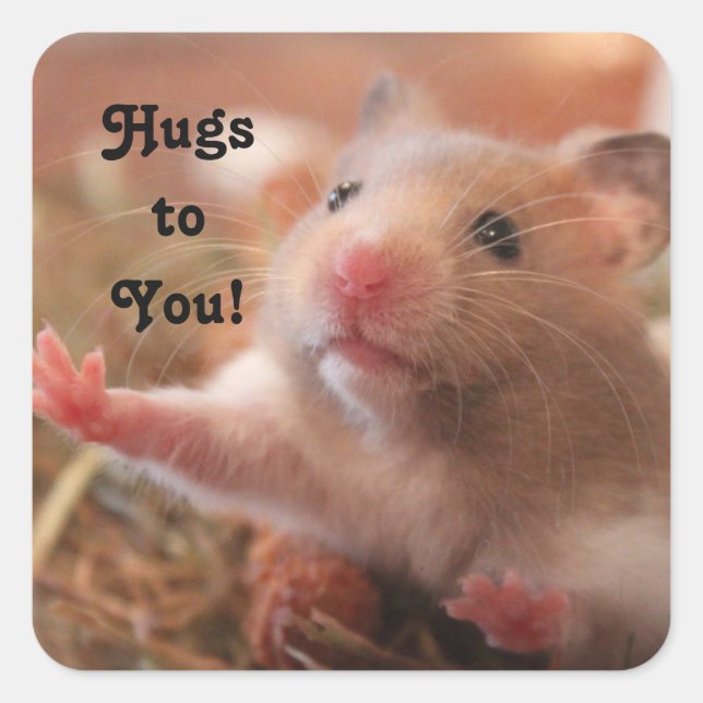 Sticker Carré Hamster Hugs (Devant)