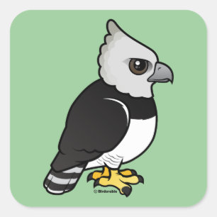 Sticker Carré Harpy Eagle