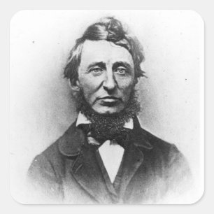 Sticker Carré Henry Thoreau