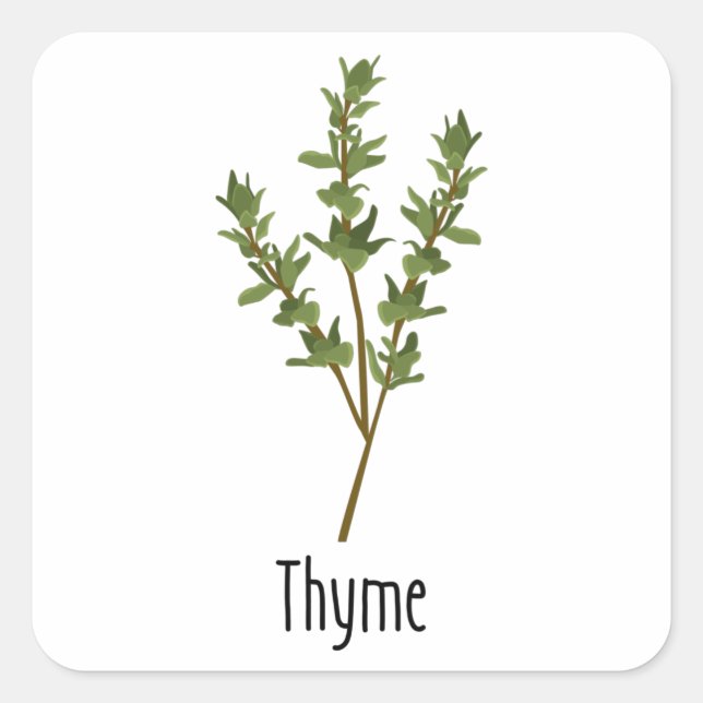 Sticker Carré Herbe d'épices de thym (Devant)