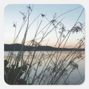 Sticker Carré Herbes au lac Sunset