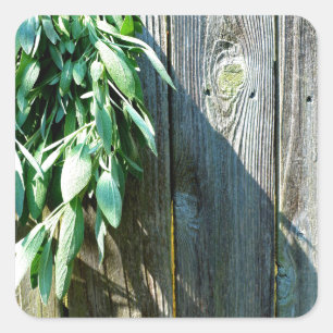Sticker Carré Herbes de bois de grange rustique