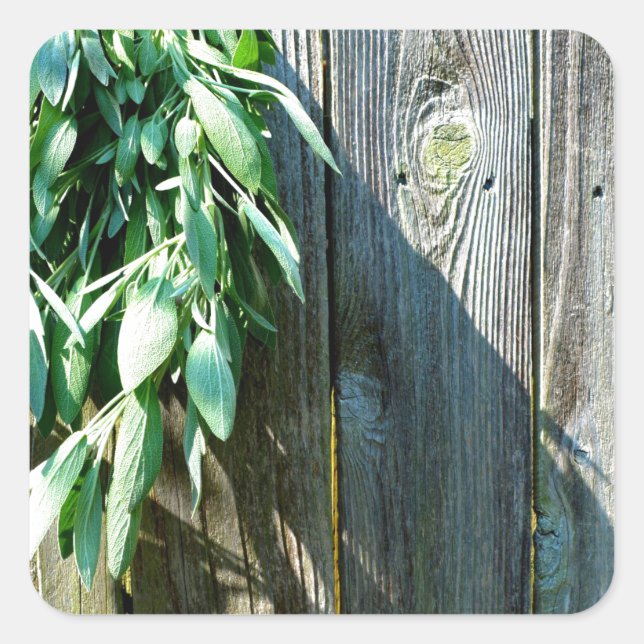 Sticker Carré Herbes de bois de grange rustique (Devant)