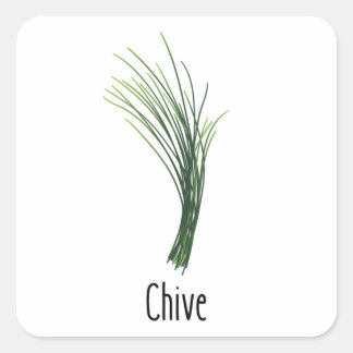Sticker Carré Herbes d'épices