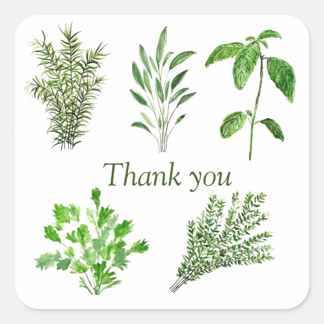 Sticker Carré Herbes Rosemary Sage Thyme Mint Parsley Merci (Devant)