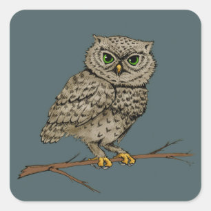 Sticker Carré Hibou aux yeux verts