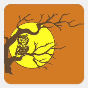 Sticker Carré Hibou et lune