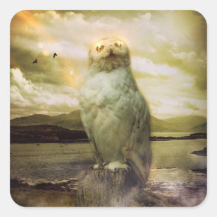 Sticker Carré Hibou mystique