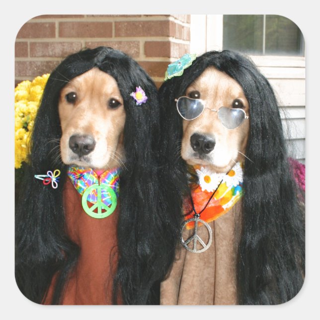 Sticker Carré Hippie d'Halloween Retriever d'or (Devant)
