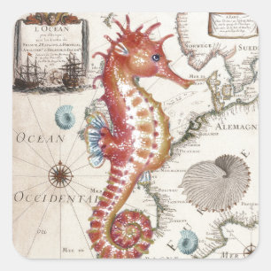 Sticker Carré Hippocampe minable