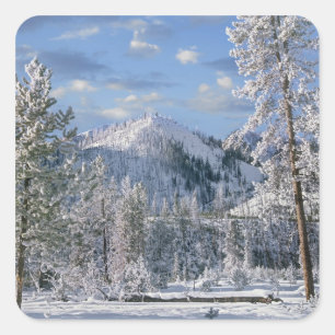 Sticker Carré Hiver dans le parc national de Yellowstone, Wyomin
