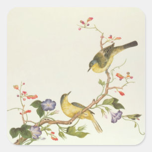 Sticker Carré Hochequeue jaune avec la tête bleue