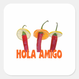Sticker Carré Hola amigo