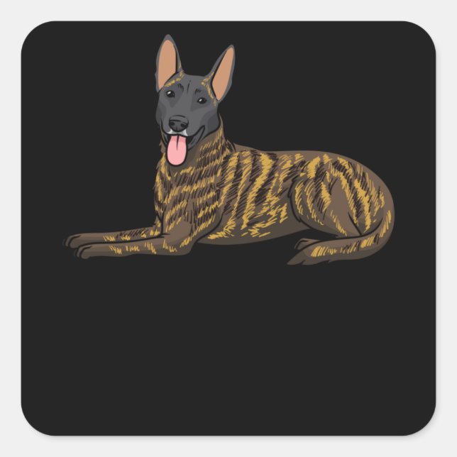 Sticker Carré Hollandse Herdershond Dutch Shepherd Chien (Devant)