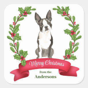 Sticker Carré Holly Banner Boston Terrier Dog Noël