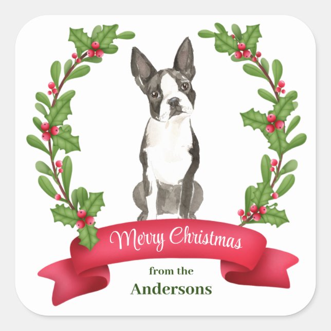 Sticker Carré Holly Banner Boston Terrier Dog Noël (Devant)