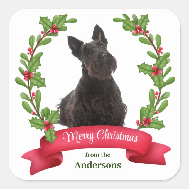 Sticker Carré Holly Banner Scottish Terrier Chien Noël (Devant)