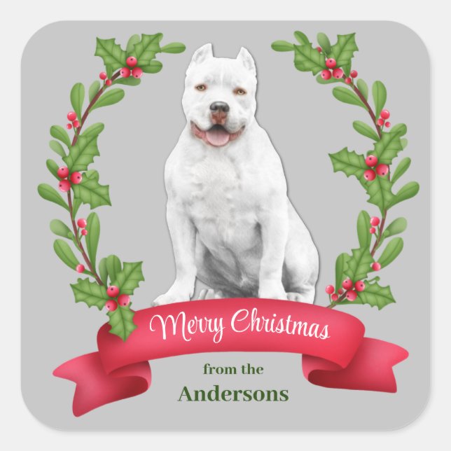 Sticker Carré Holly Banner White Pit Bull Dog Noël (Devant)