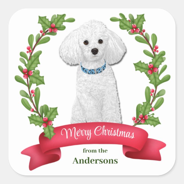 Sticker Carré Holly Banner White Poodle Noël (Devant)