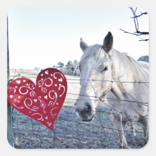 Sticker Carré HORSE coeur Valentine
