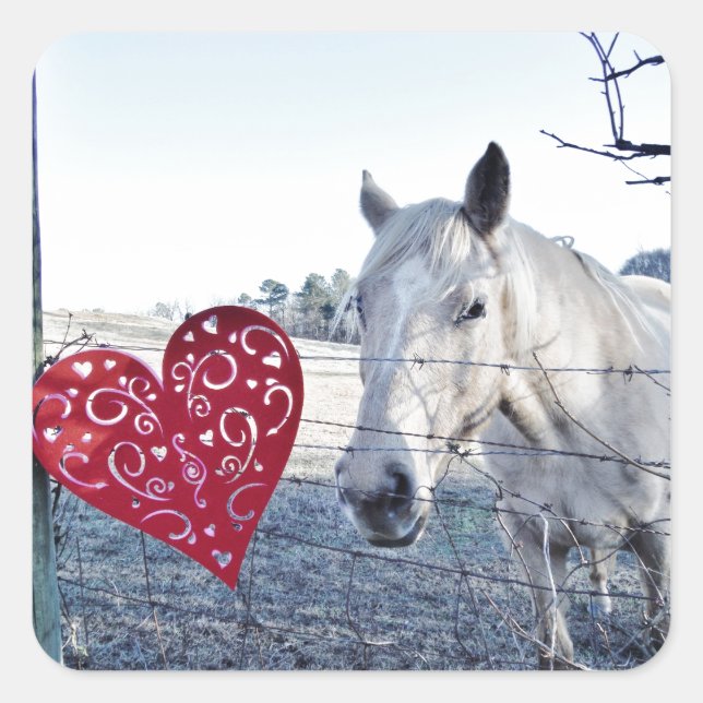 Sticker Carré HORSE coeur Valentine (Devant)