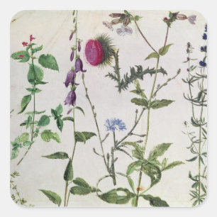 Sticker Carré Huit études des fleurs sauvages
