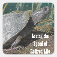 Humour retraité Tortue basking Photo Lac Animal