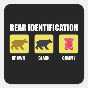 Sticker Carré Identification de l'ours drôle