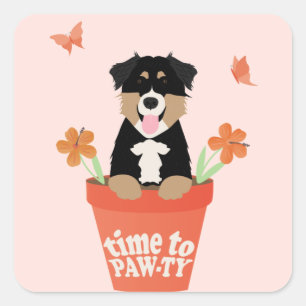 Sticker Carré Il Est Temps De Pawty Australian Shepherd Dog