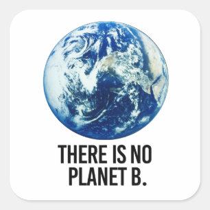 Sticker Carré Il n'y a pas de planète B